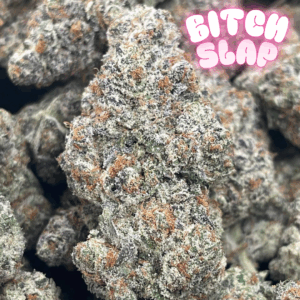 BITCH SLAP FLOWER BY DANK WORKS