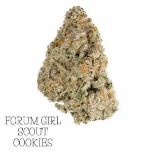 FORUM GIRL SCOUT COOKIES FLOWER DANK WORKS