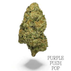 PURPLE PUSH POP FLOWER DANK WORKS