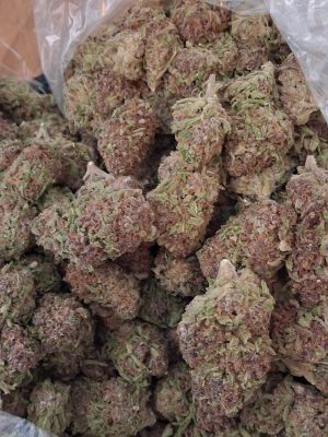 BLUEBERRY SYRUP FLOWER