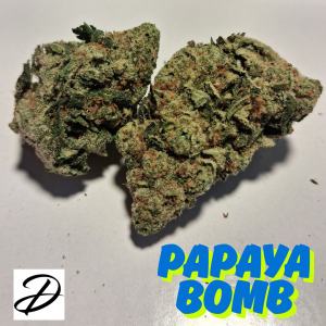 PAPAYA BOMB FLOWER