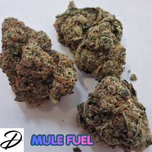 MULE FUEL FLOWER
